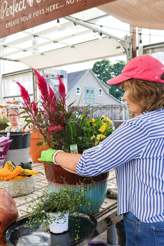 Fall Potting Workshop - Sept 12th at 11:00AM