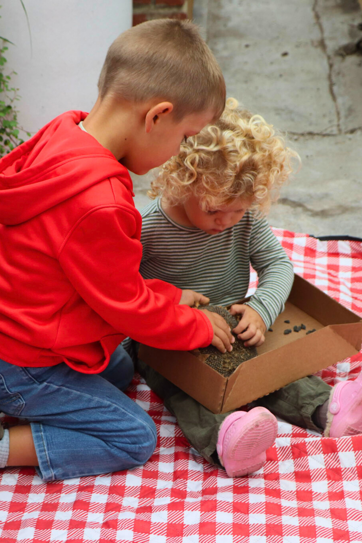 Fall Plant and Story Hour - Sept 29th at 10:30AM
