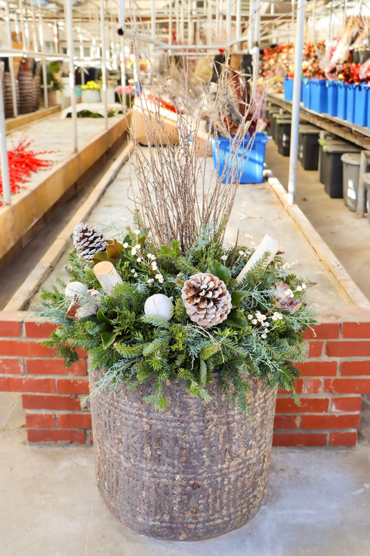 Winter Garden Trends Tour - Nov 15th at 2:00pm