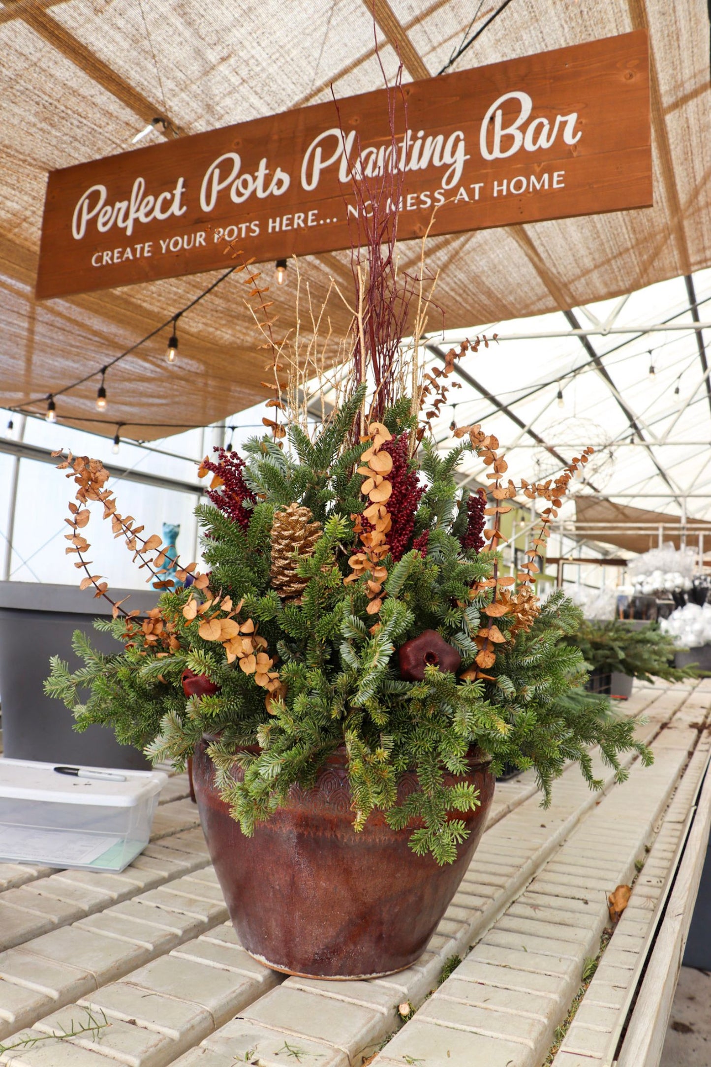 Winter Potting Workshop - Nov 14th at 11:00AM