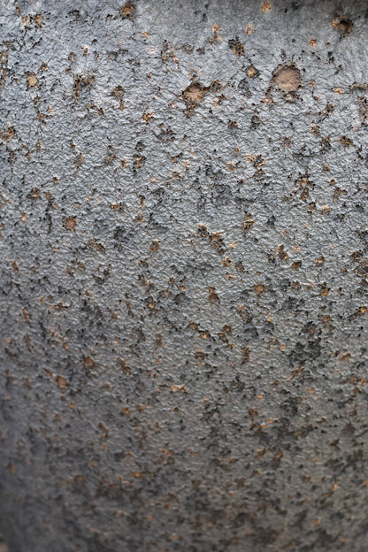 Fish Bowl Planter Silver Rock