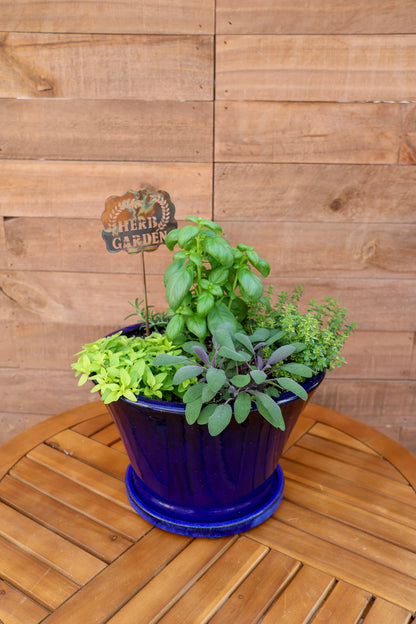 Al Fresco Herb Garden Planter