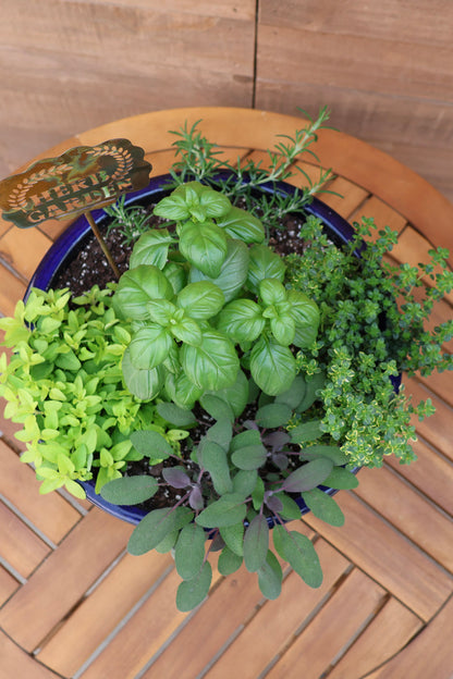 Al Fresco Herb Garden Planter