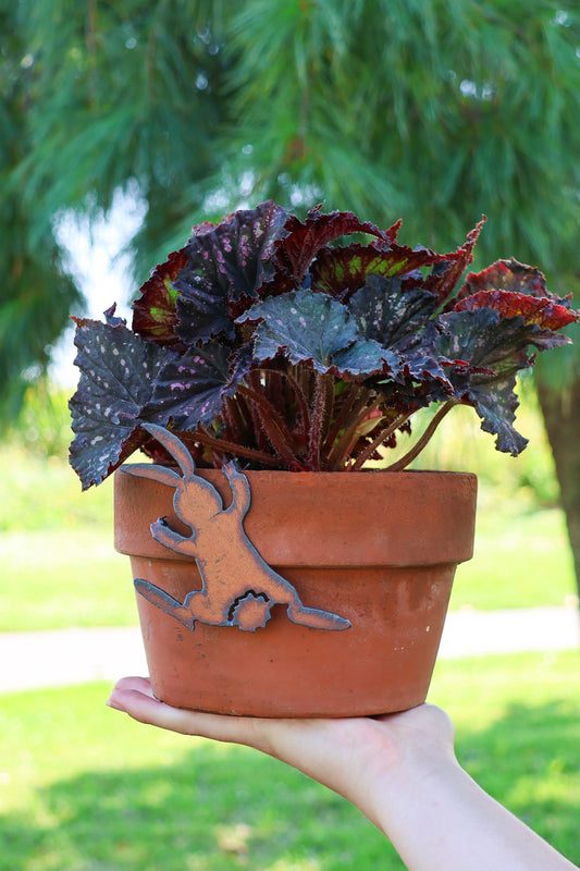 Rustic Bunny Pot Hanger