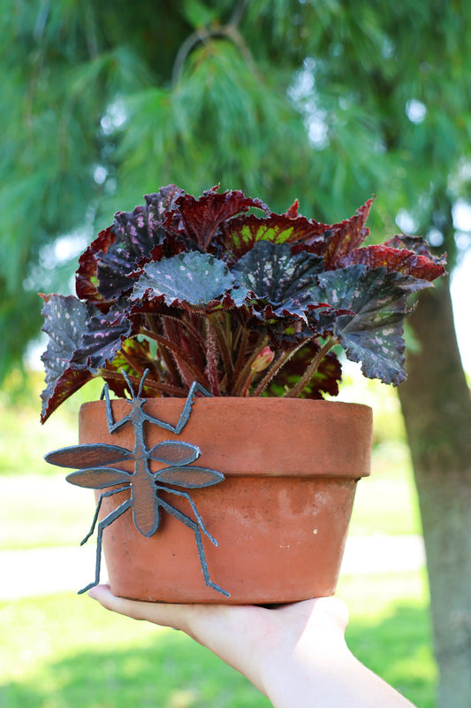 Rustic Praying Mantis Pot Hanger