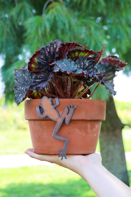 Rustic Frog Pot Hanger