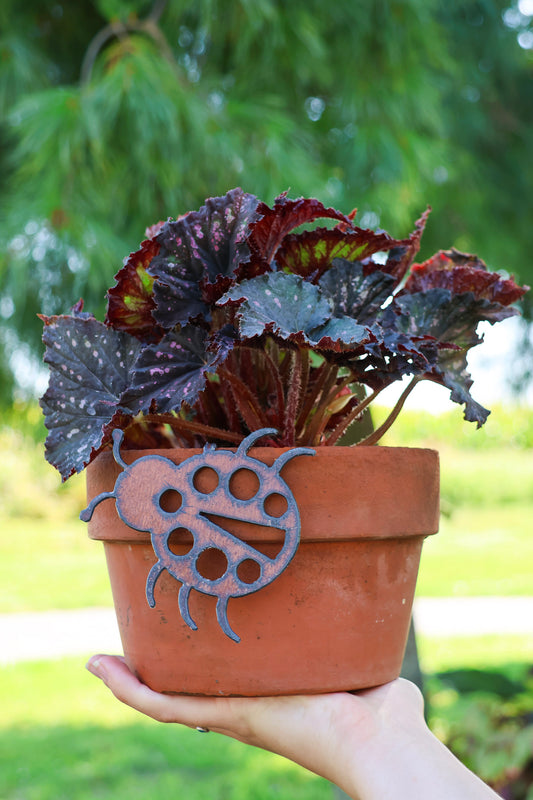 Rustic Ladybug Pot Hanger