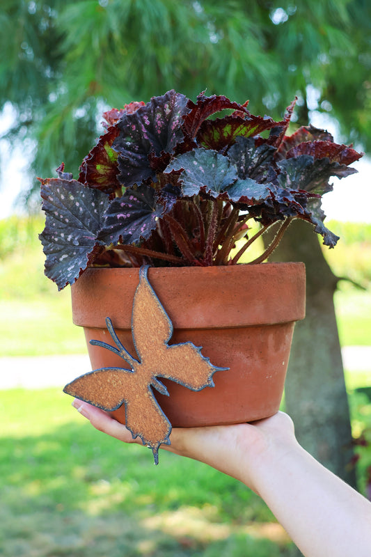 Rustic Butterfly Pot Hanger