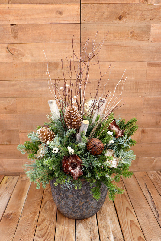 Gift a Holiday Container Garden