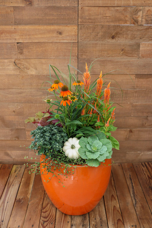 Pumpkin Spice Latte Planter