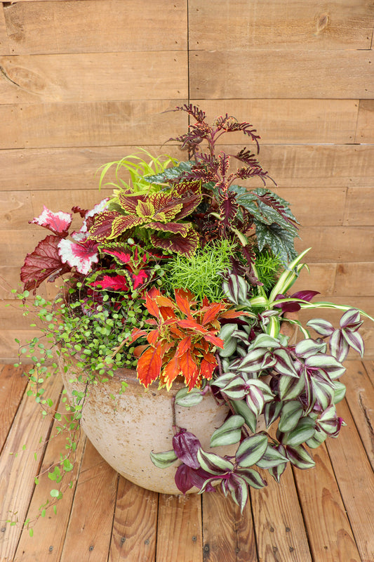 Fun with Foliage Planter