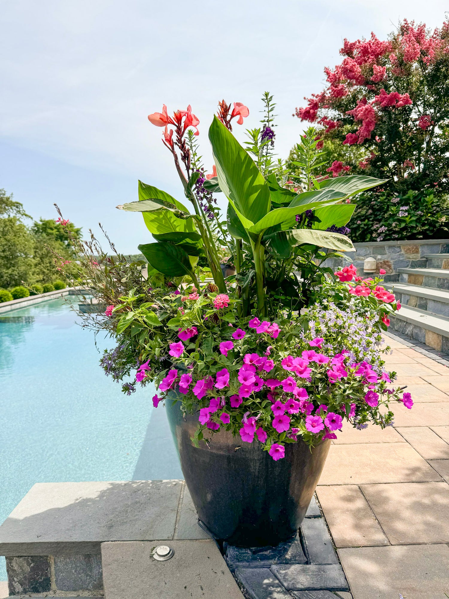 IMG_9372.jpg__PID:9aed2f20-6ca9-4781-ae10-25e6e8b82881